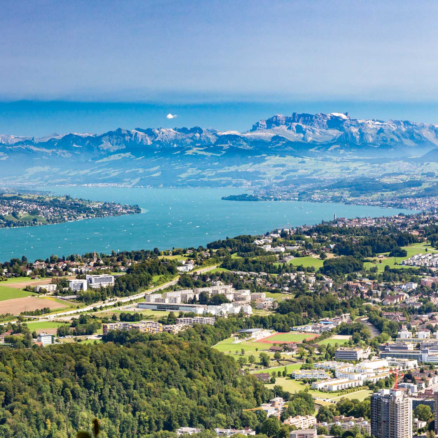 Lake Zurich