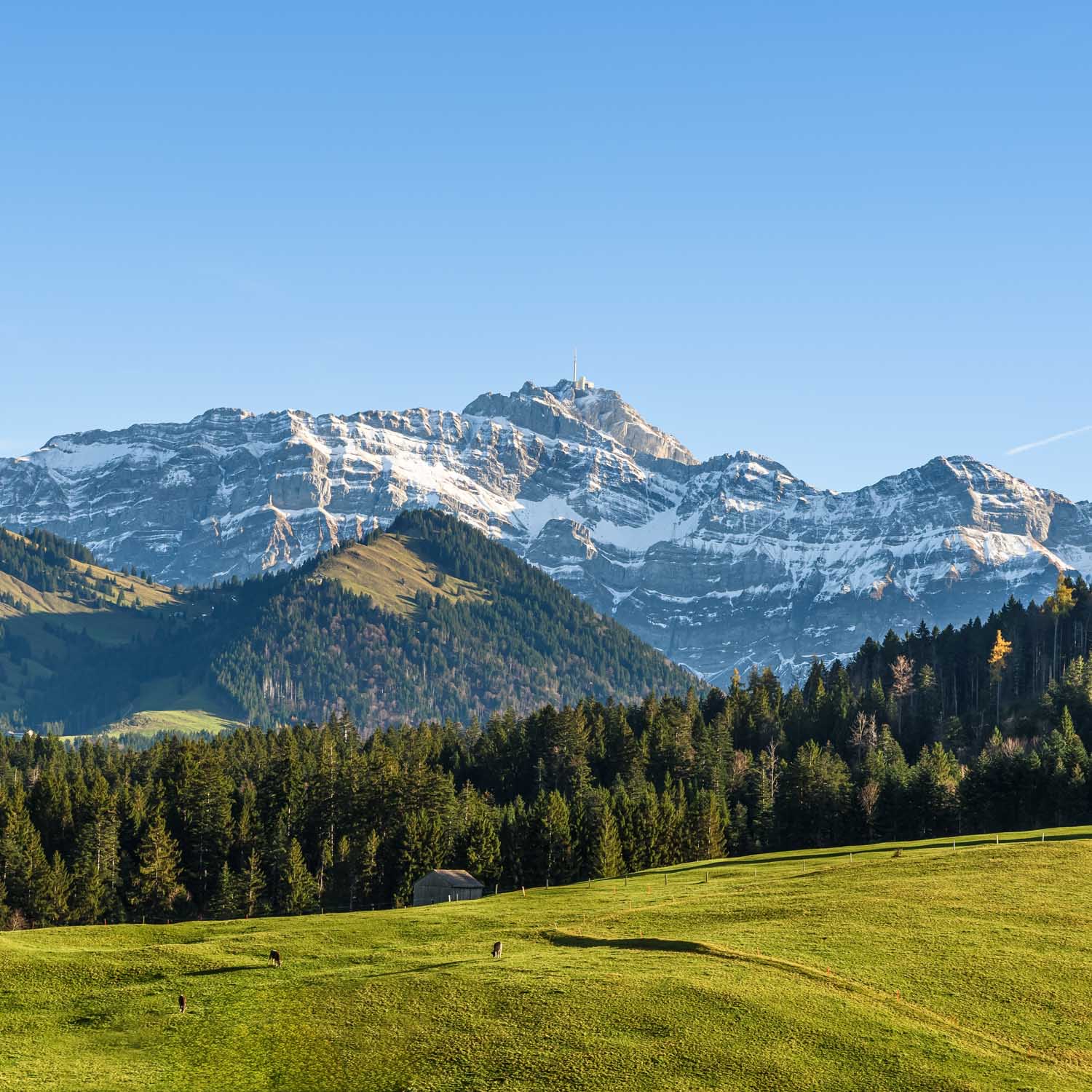 Säntis