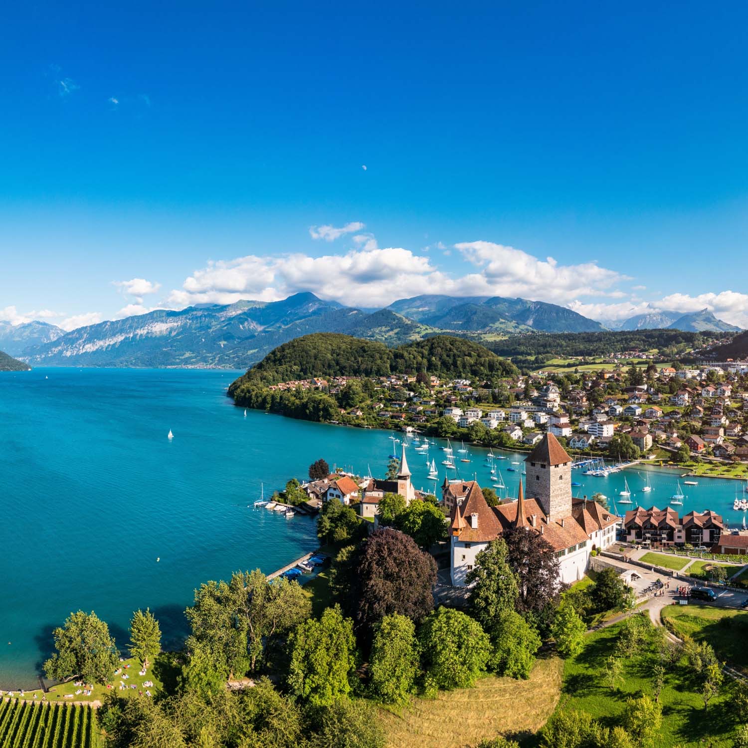 Spiez