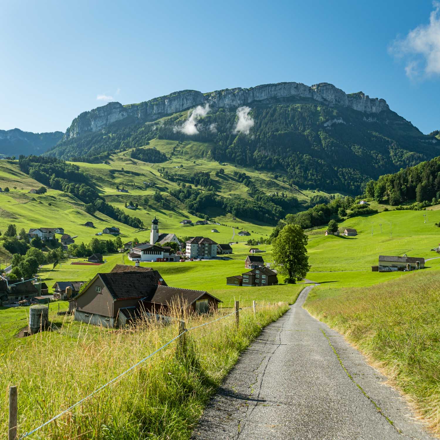 Schwende