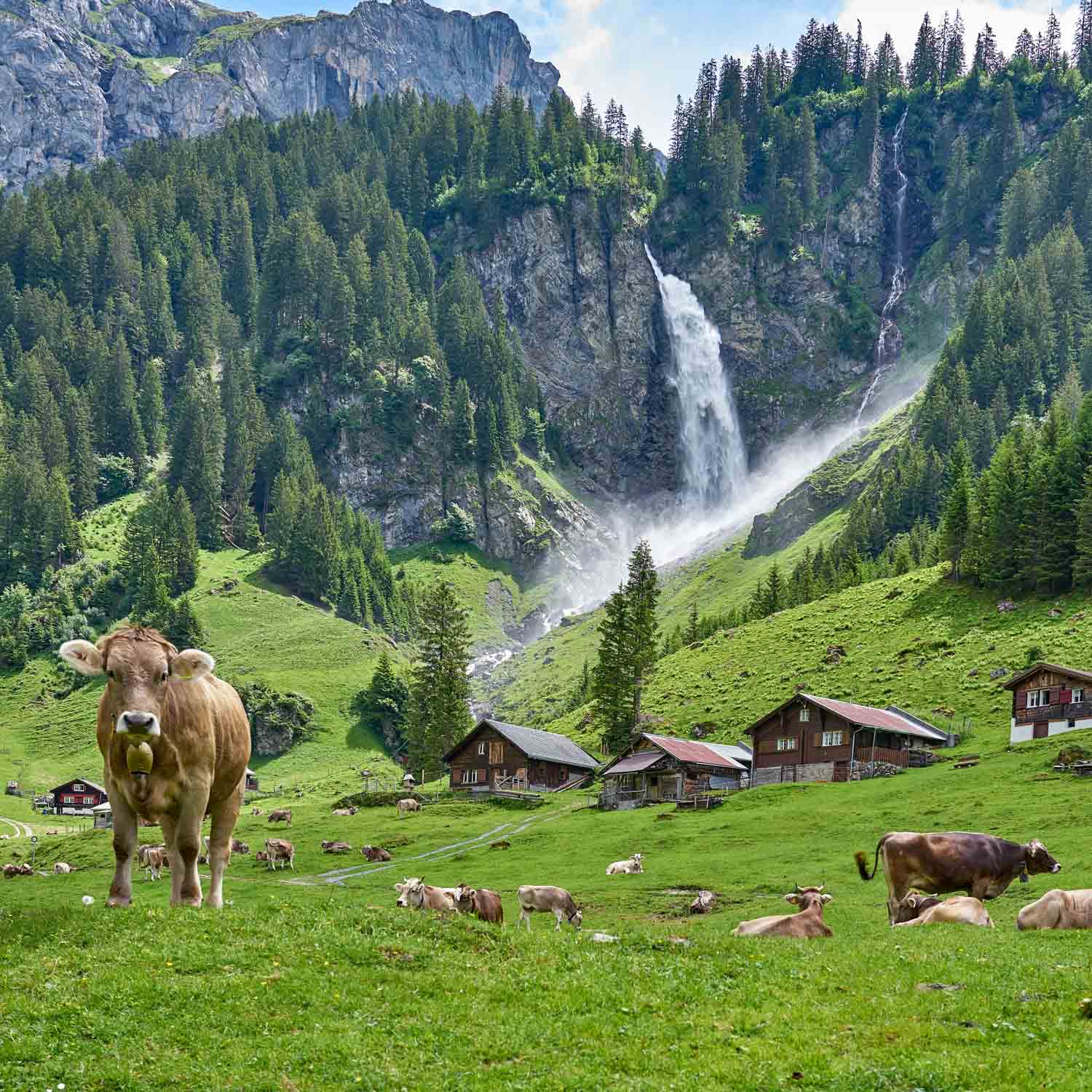 Stäubi Waterfall