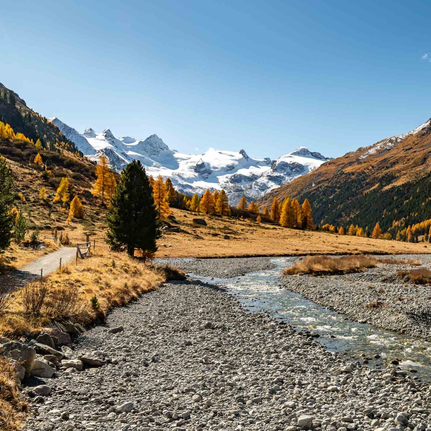 Roseg Glacier
