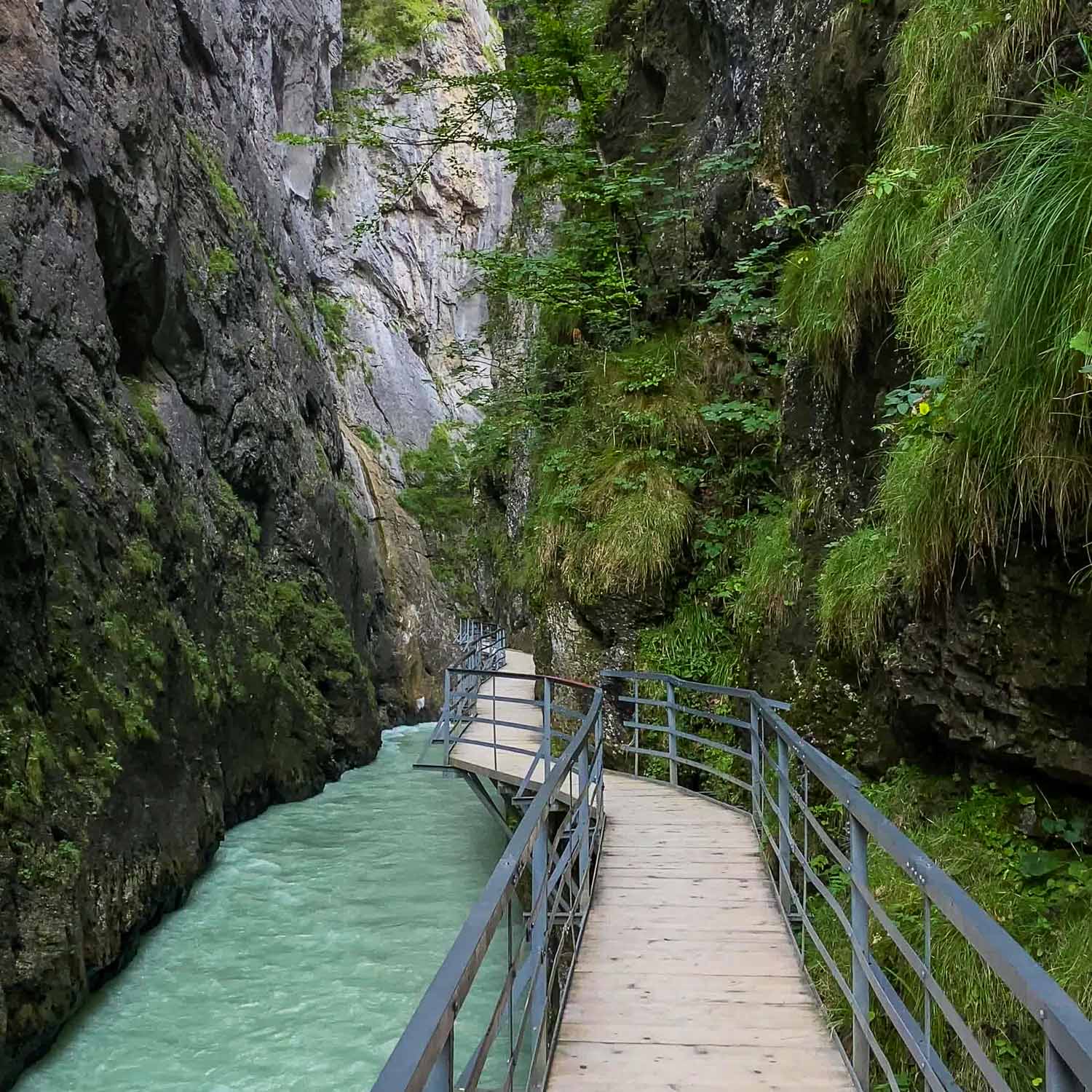 Rock Path Aare Gorge
