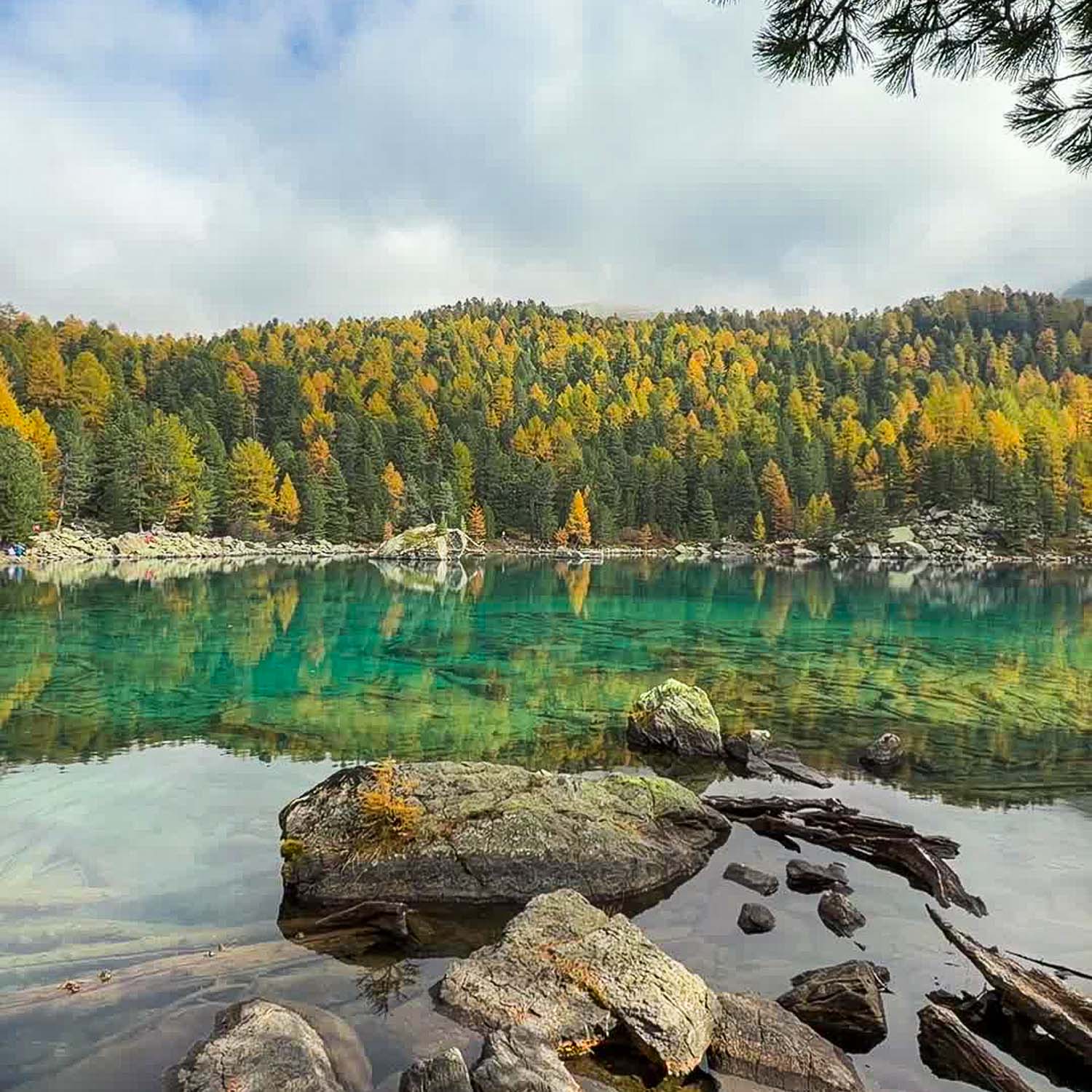 West Shore Lago di Saoseo