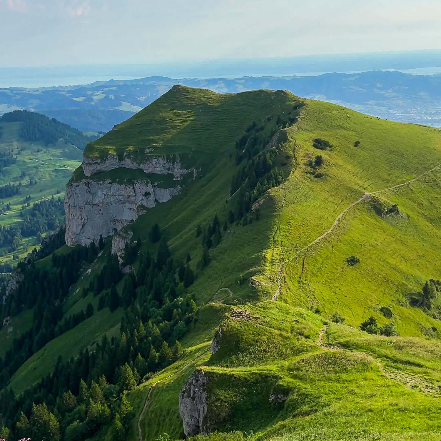 Hoher Kasten Panorama