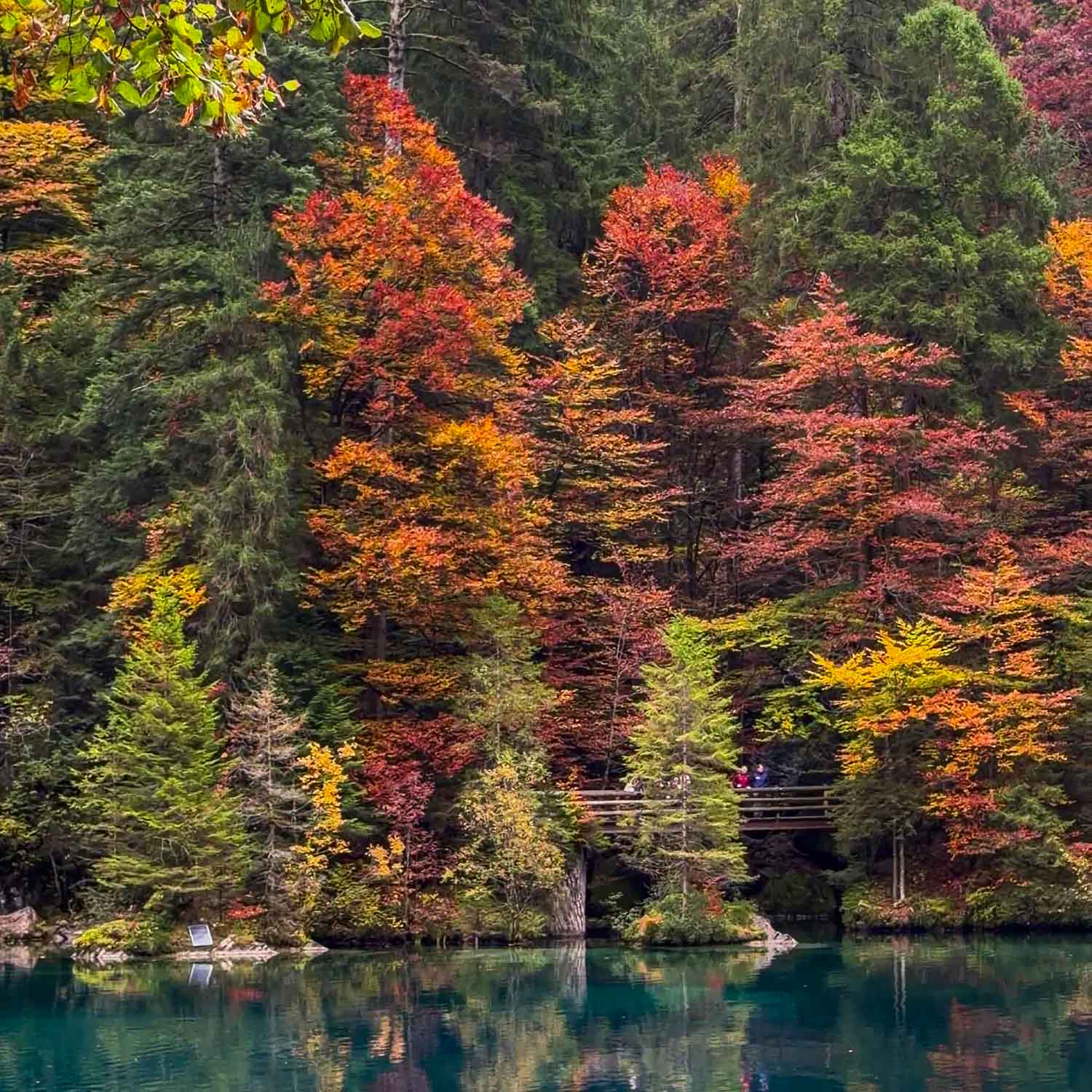 West Shore Blausee
