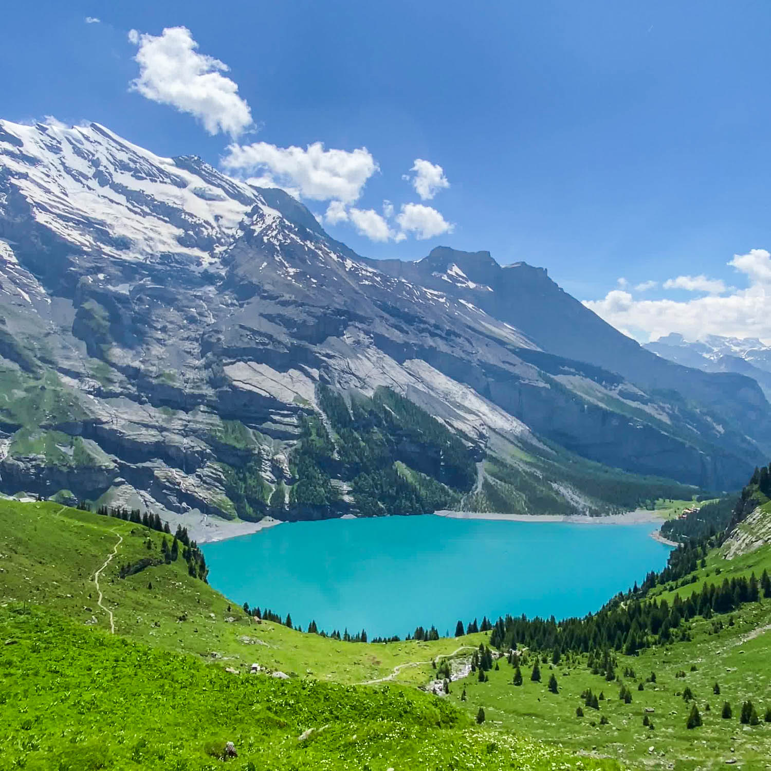 Alpine Meadow
