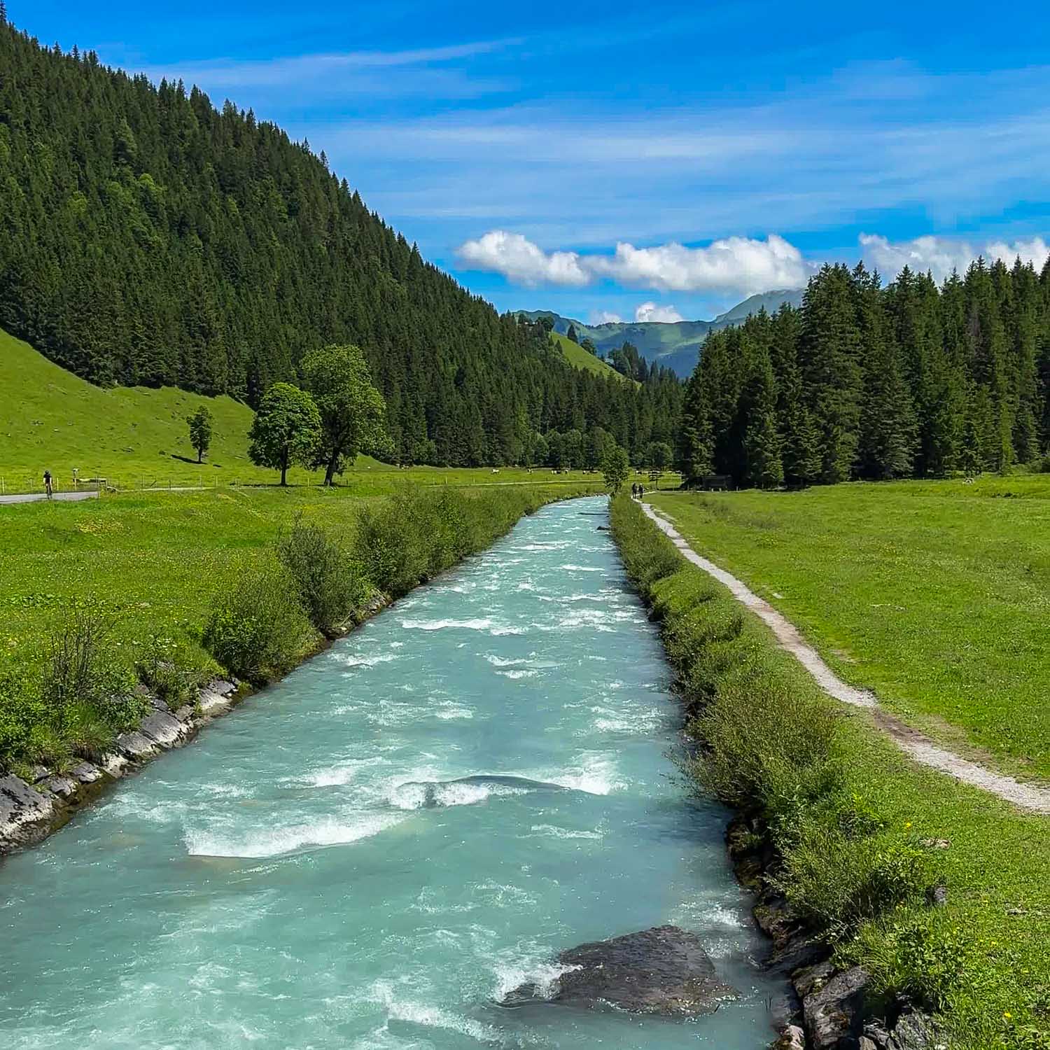 Reichenbach Bridge