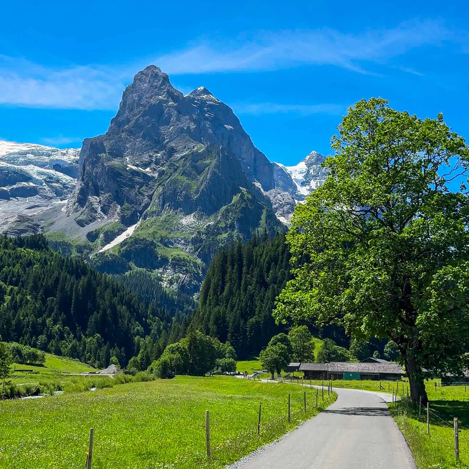 Viewpoint Scheidegg Road