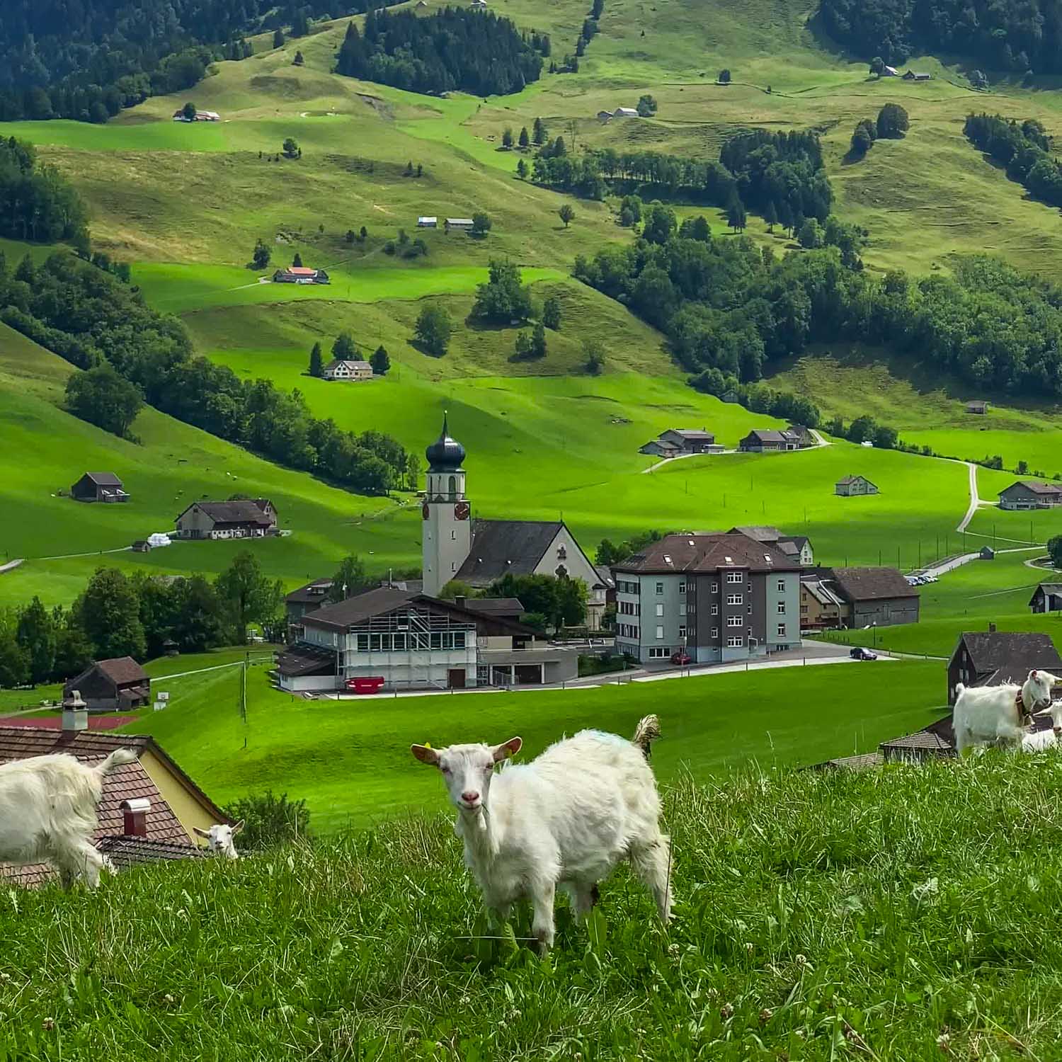 Village View Erstböhl
