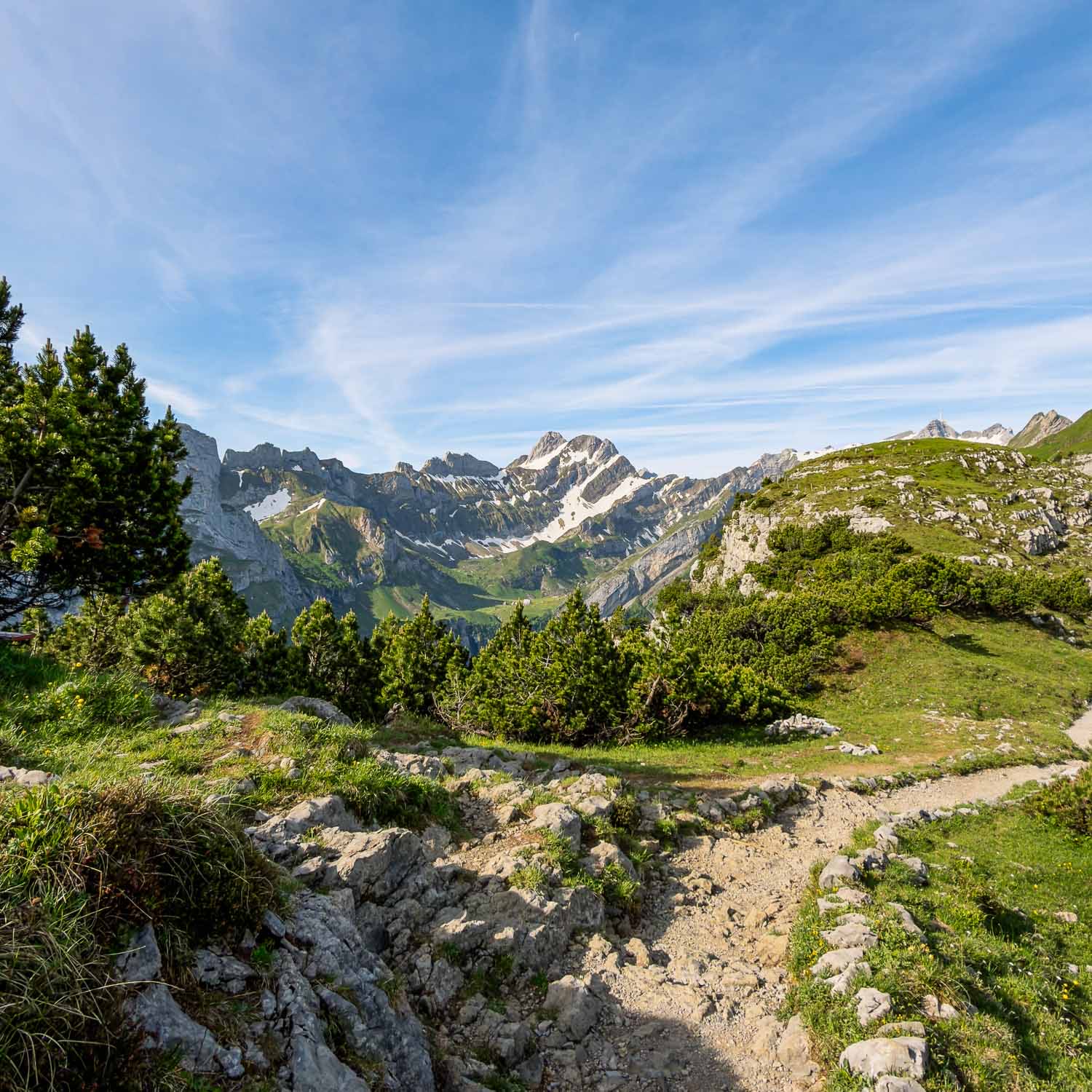 Stony Path Alpine View