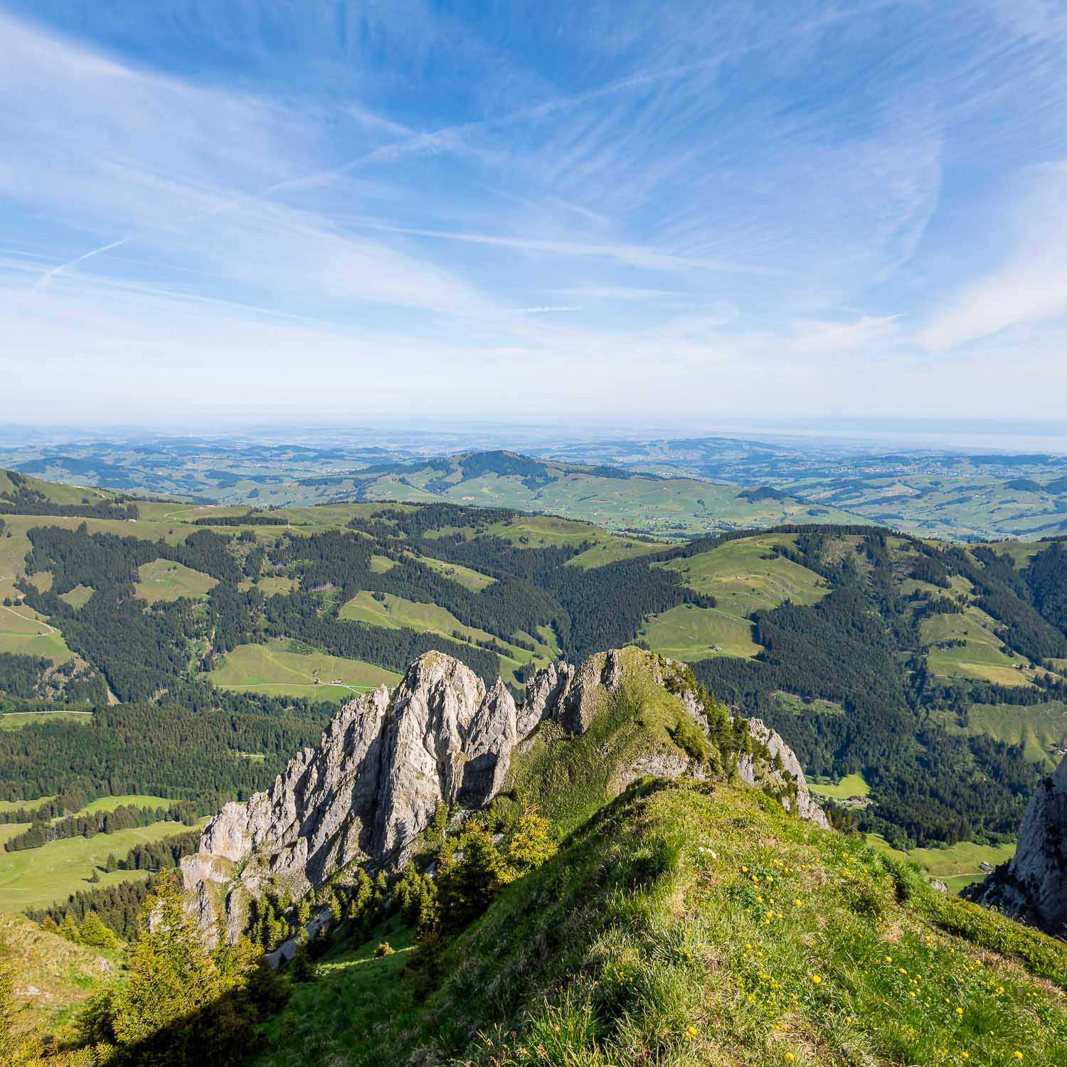 Rock Plateau Schäfler View