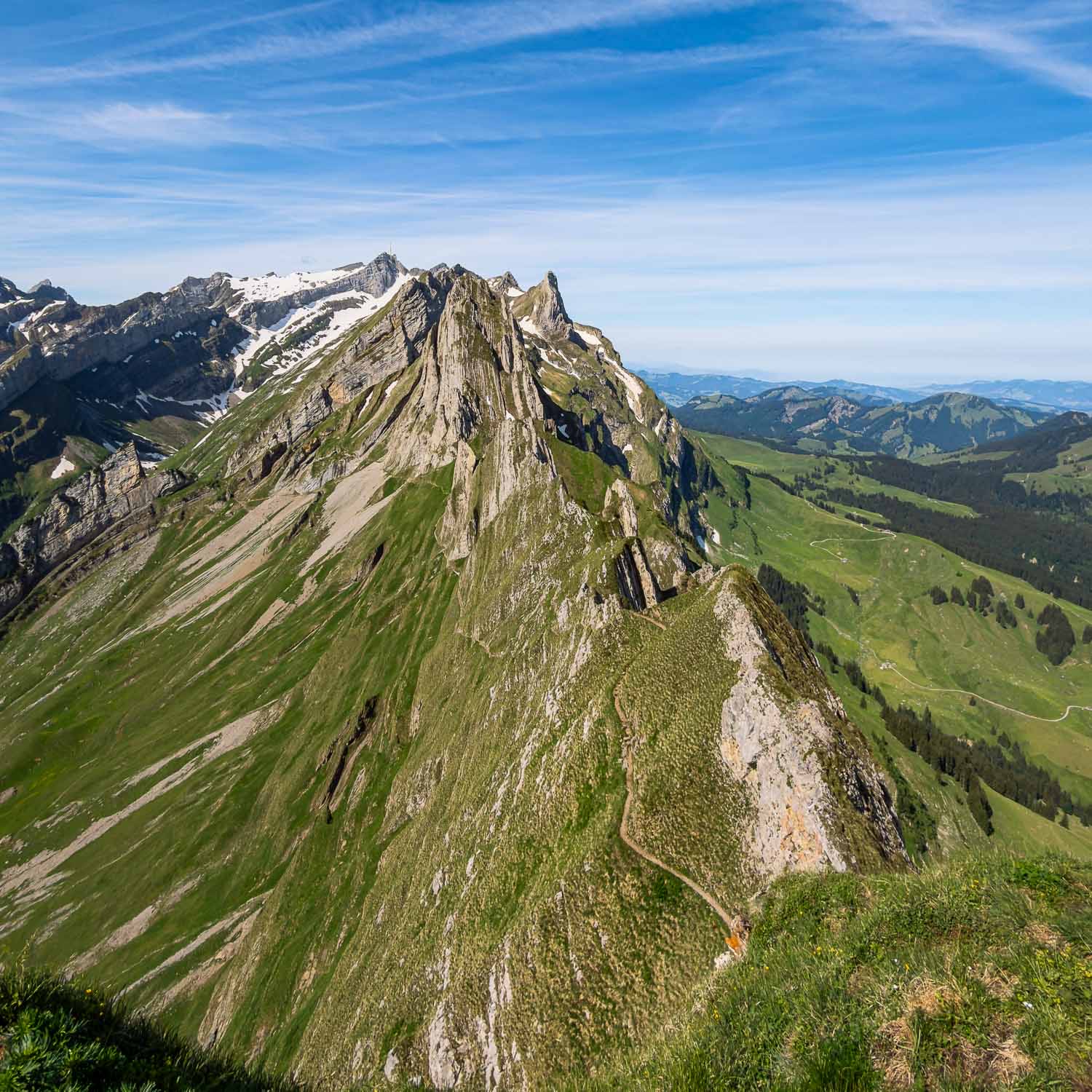 Schäfler Panorama