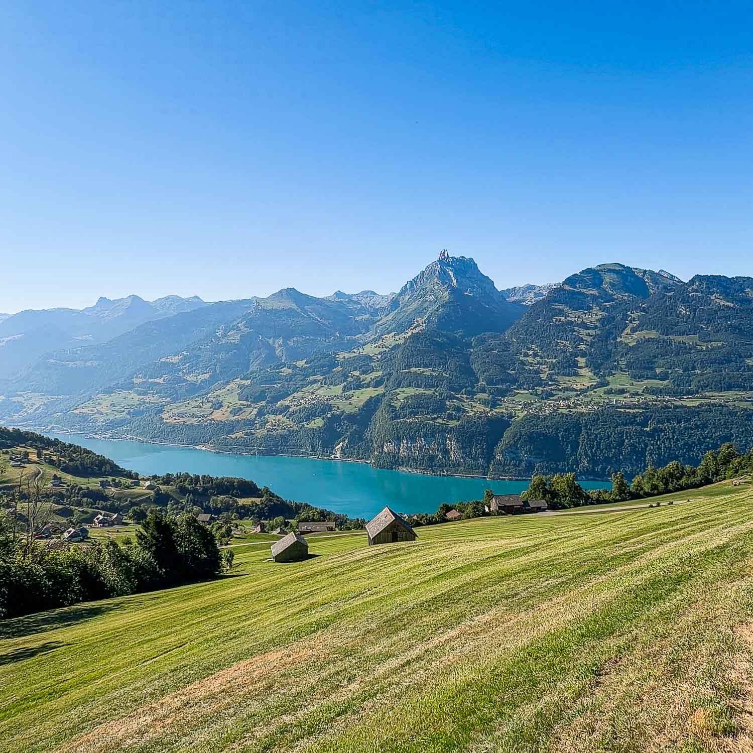 Lake View Panorama