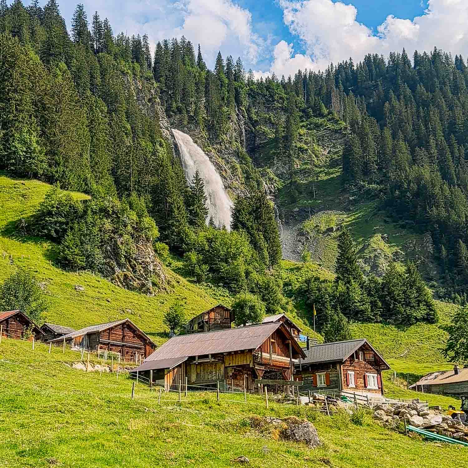 Meadow View