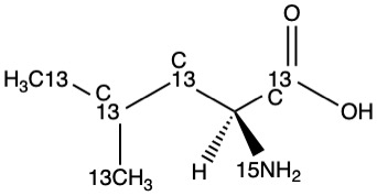 L-Leucine-13C6,15N L-Leucine-13C6,15N