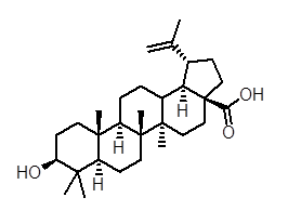 Betulinic Acid