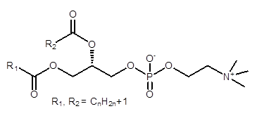 L-α-fosfatidilcolina L-α-fosfatidilcolina