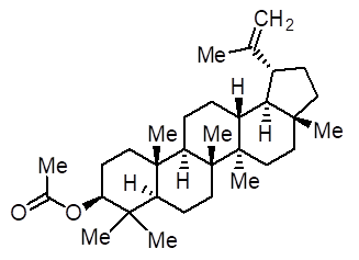 Lupeol acetate Lupeol acetate