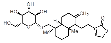 Neoandrographolide Neoandrographolide