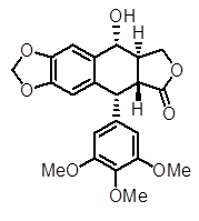 Podophyllotoxin Podophyllotoxin