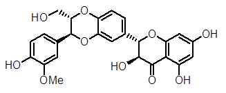 Silymarin ( Silynin A&B )