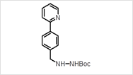 N-1-(ter-butyloxycarbonyl)-N-2-[4-(pyridine-2 yl) benzylidine]–Hydrazine