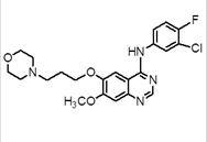 Levofloxacin Levofloxacin