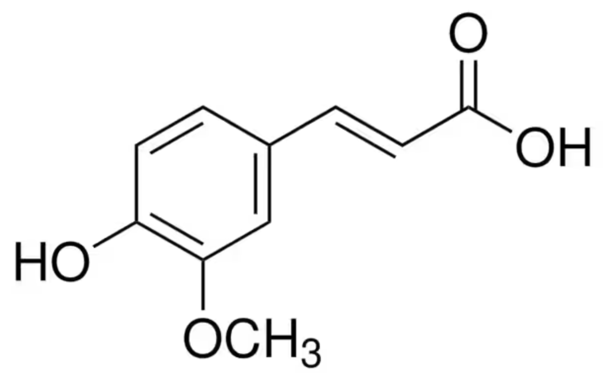 Ferulic Acid