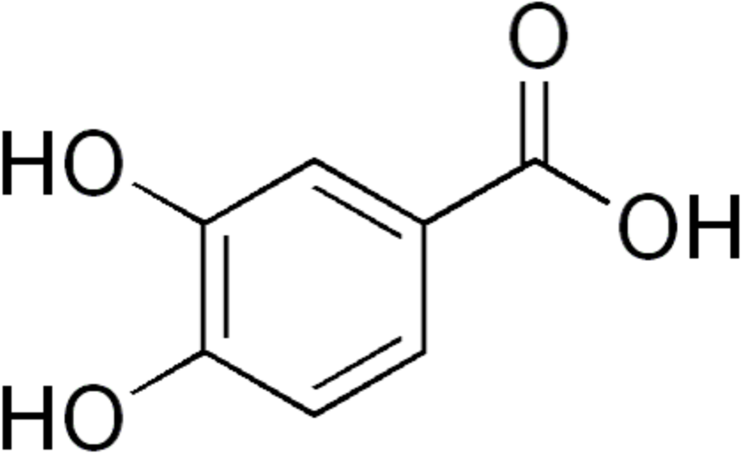 Protocatechuic Acid
