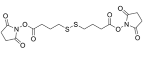 Bis-SS-C3-NHS ester