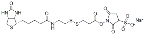 Sulfo-NHS-SS-Biotin sodium Sulfo-NHS-SS-Biotin sodium