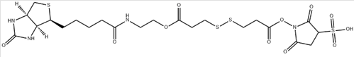 Sulpho NHS SS biotin Sulpho NHS SS biotin