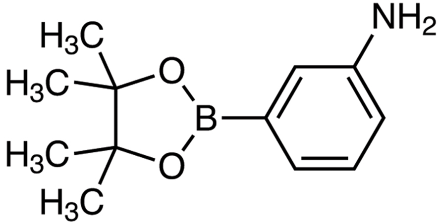 3-Aminophenylboronic Acid Pinacol Ester 3-Aminophenylboronic Acid Pinacol Ester