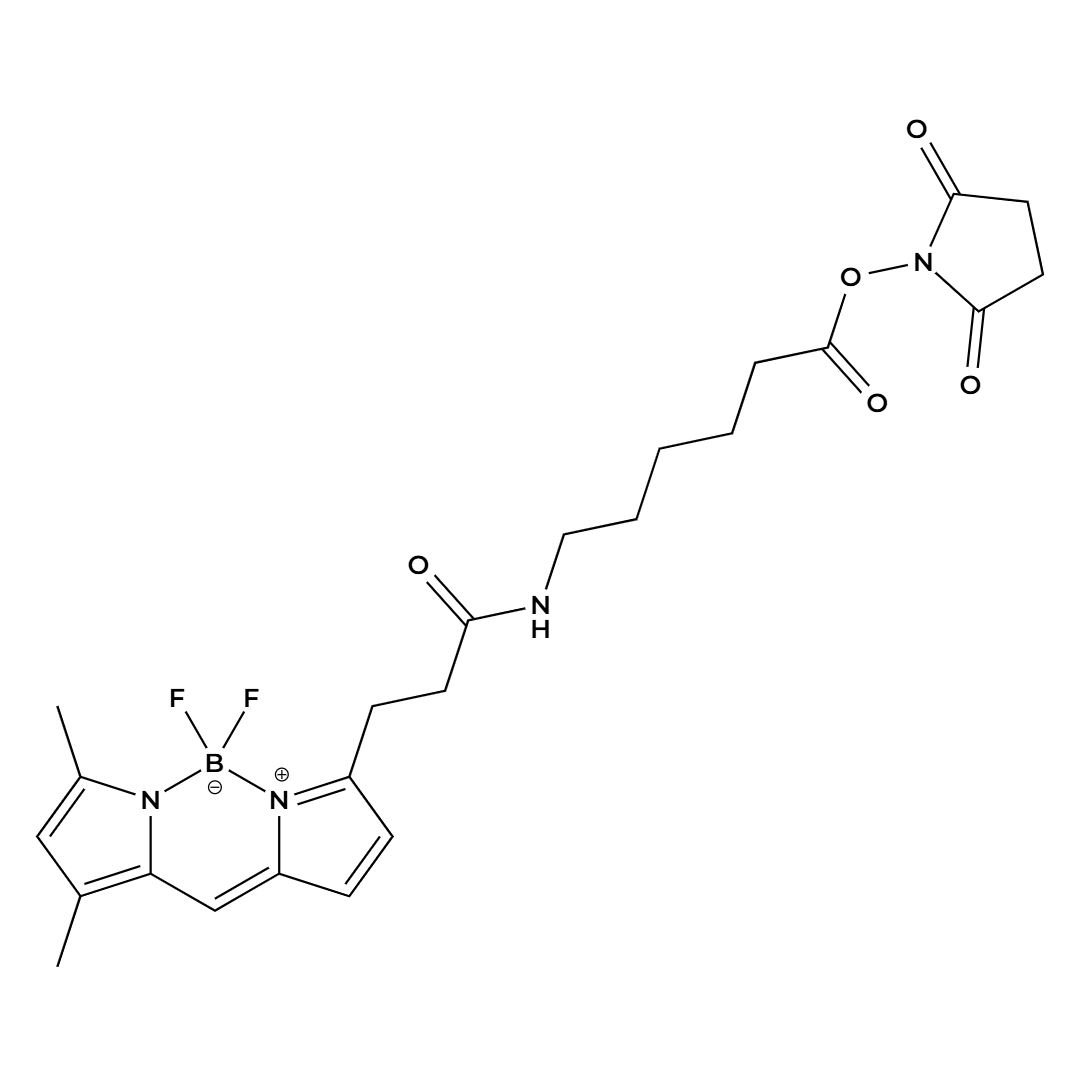 3-BODIPY-propanoylaminocaproic Acid N-hydroxysuccinimide ester 3-BODIPY-propanoylaminocaproic Acid N-hydroxysuccinimide ester