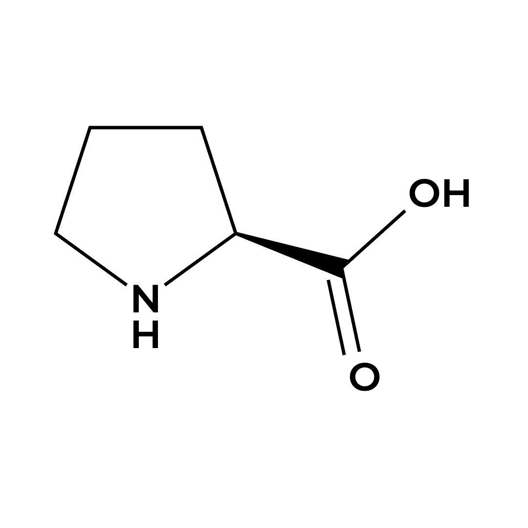 L-Proline L-Proline