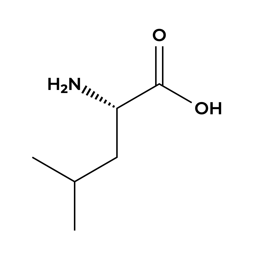 L-Leucine L-Leucine