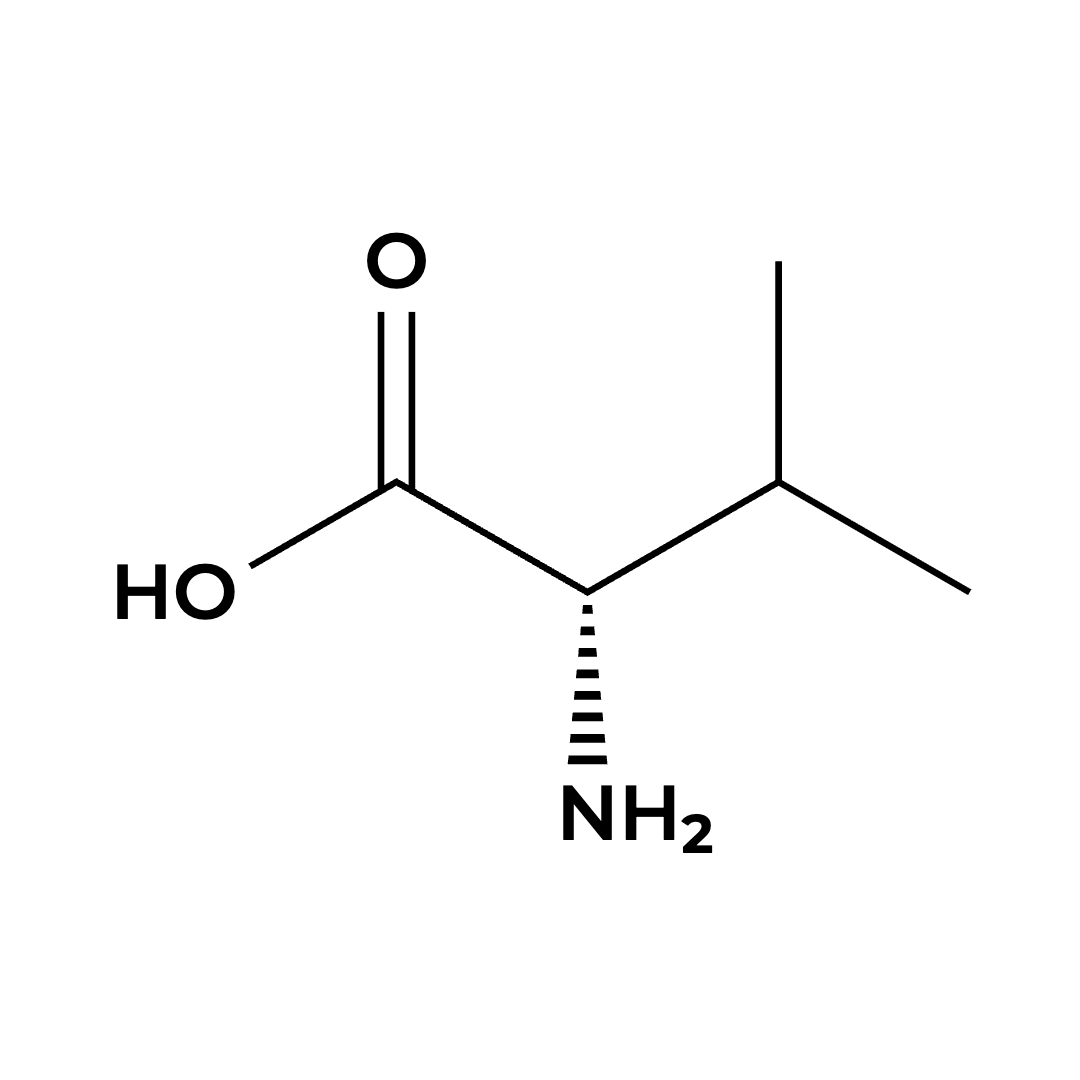L-Valine L-Valine