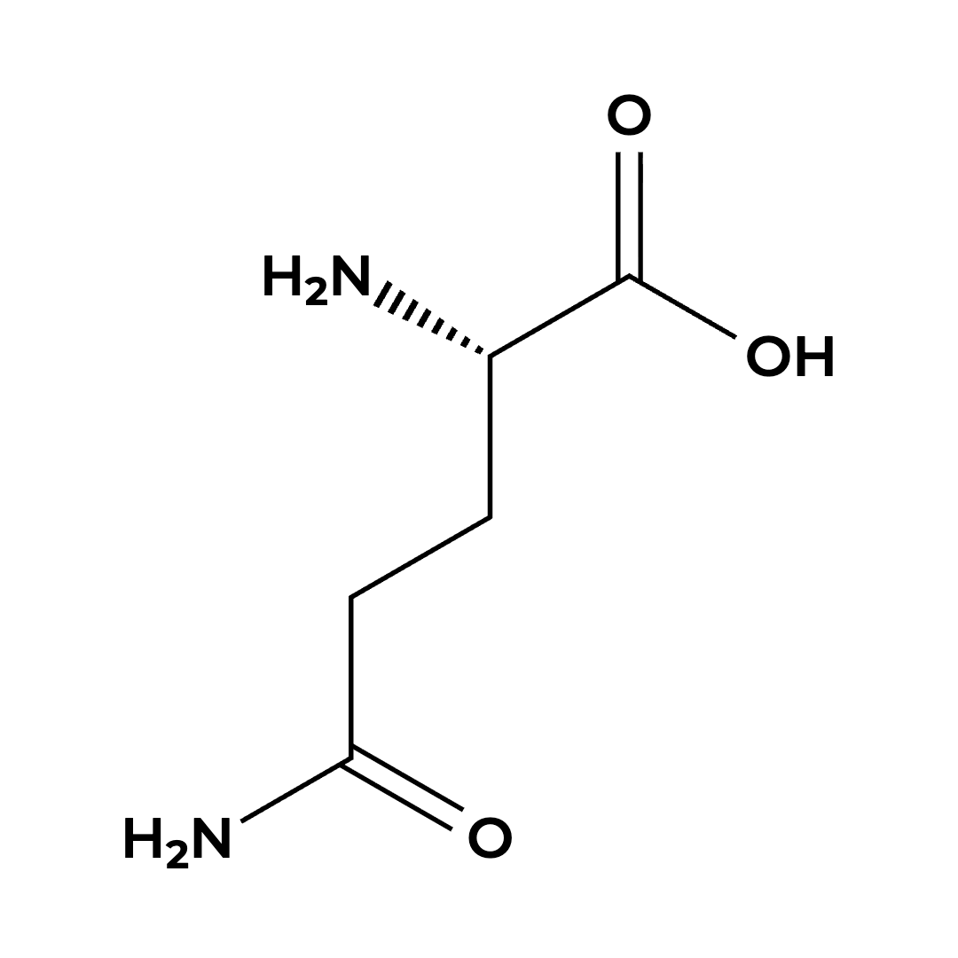 L-Glutamine L-Glutamine