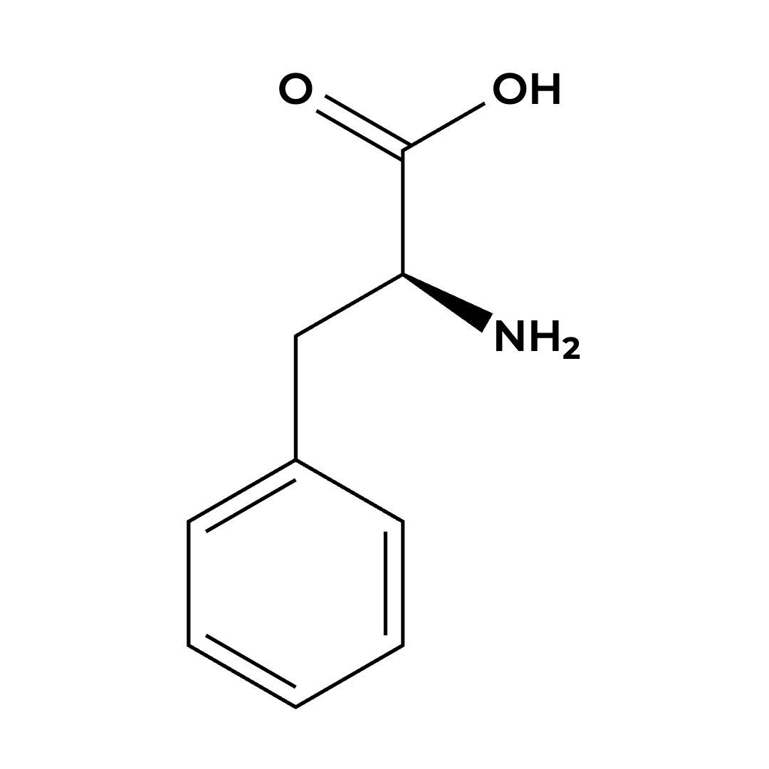 L-Phenylalanine L-Phenylalanine