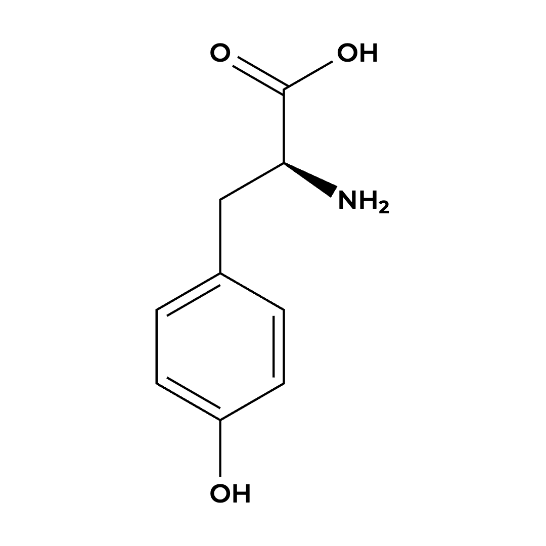L-Tyrosine
