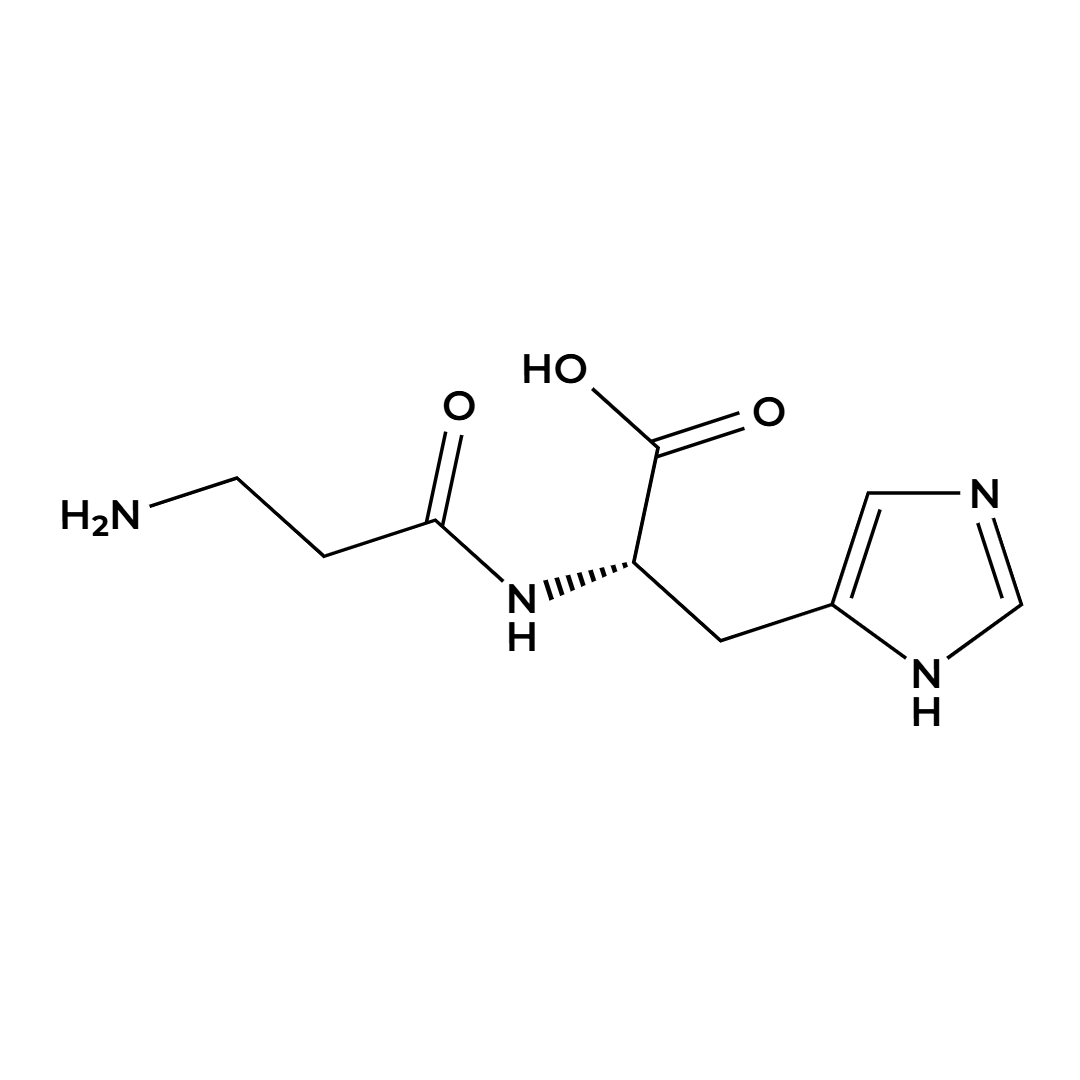 L-Carnosine L-Carnosine