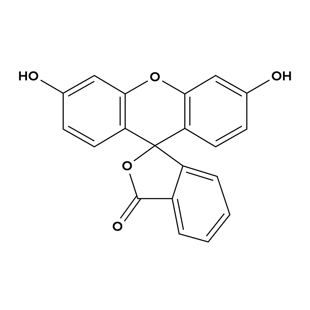 Fluorescein Fluorescein