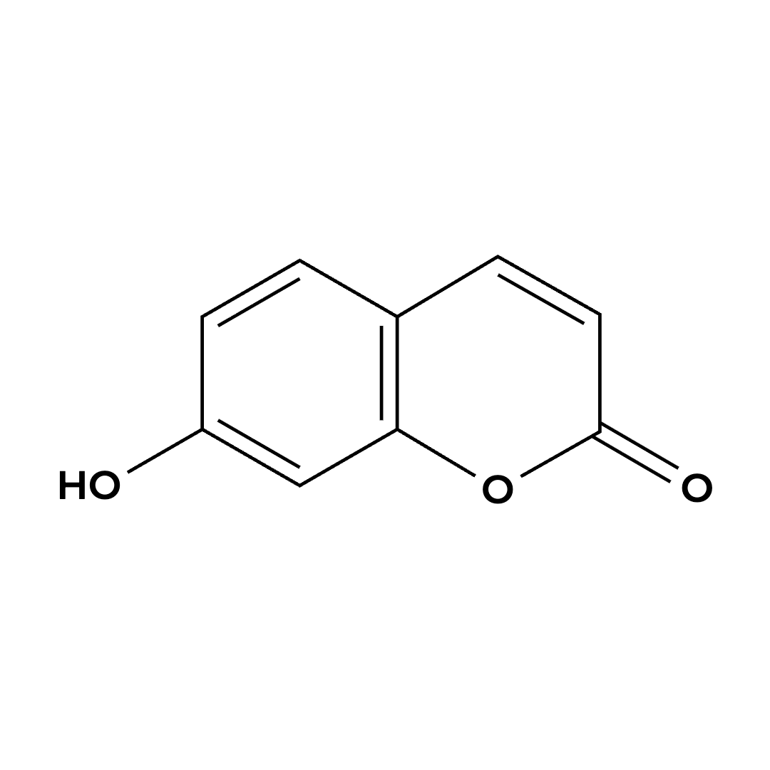 Umbelliferone Umbelliferone