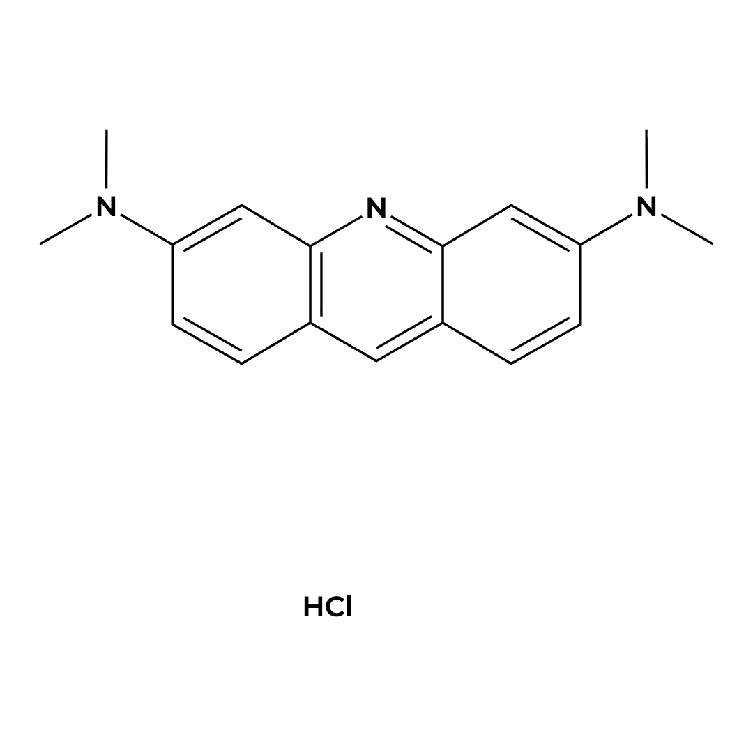 Acridine Orange Acridine Orange