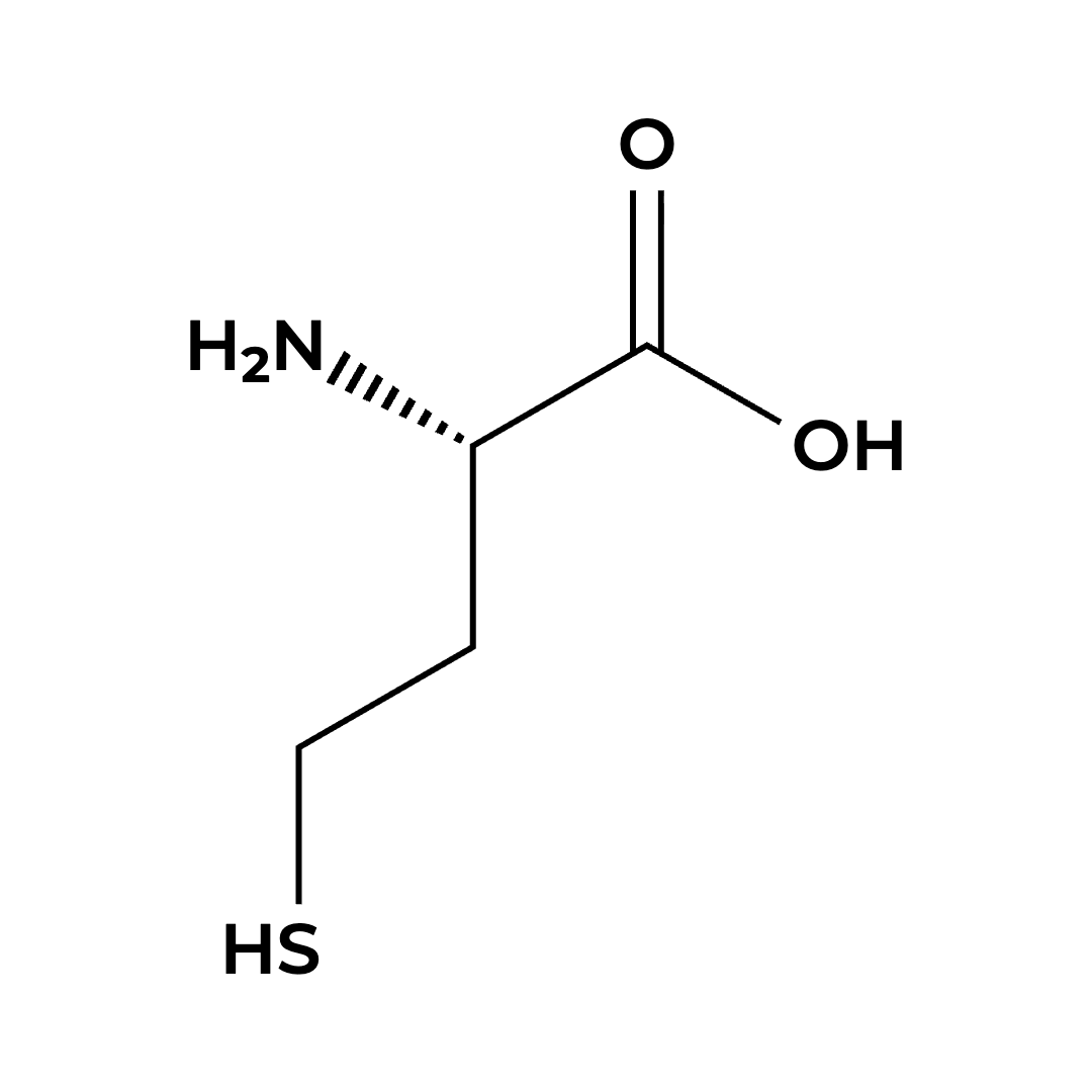 L-Homocysteine