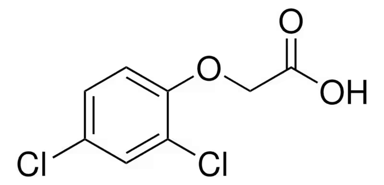 2,4-Dichlorophenoxyacetic Acid 2,4-Dichlorophenoxyacetic Acid