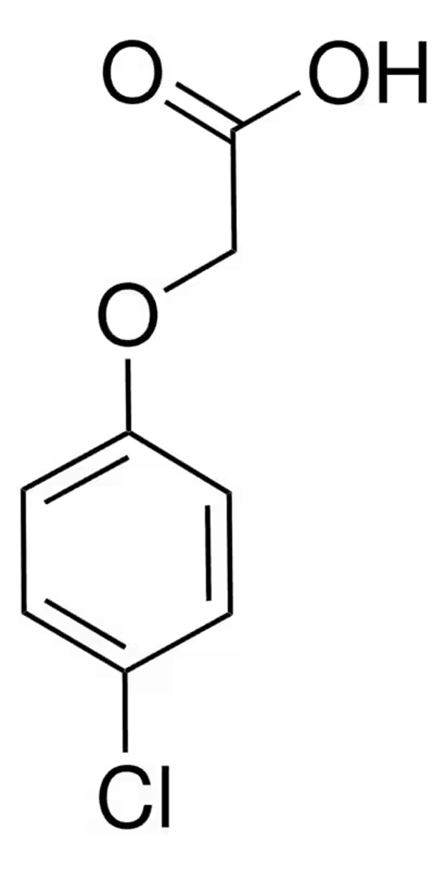 4-Chlorophenoxyacetic acid