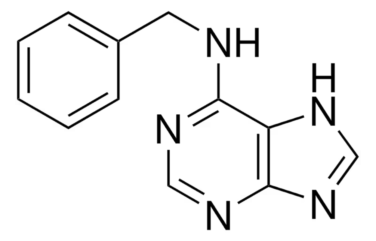 6-Benzylaminopurine 6-Benzylaminopurine