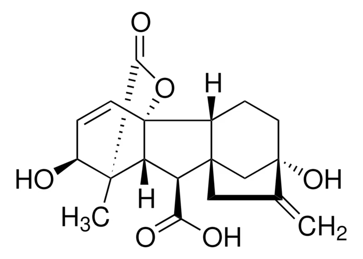 Gibberellic acid Gibberellic acid